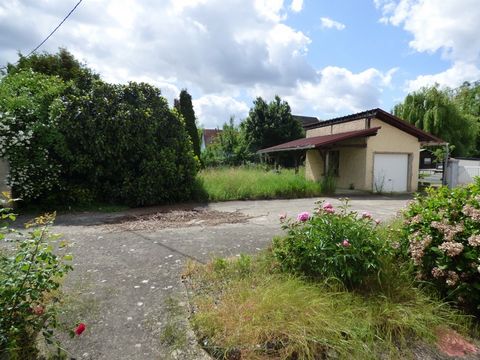 photo no. 2