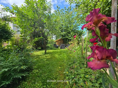 photo no. 10