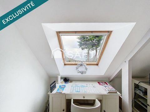 photo no. 13