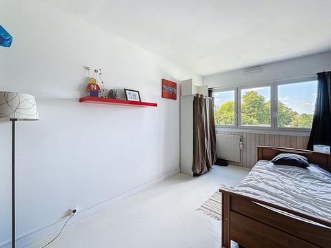 photo no. 5