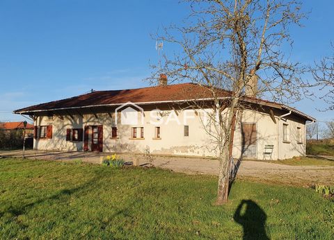 photo no. 2
