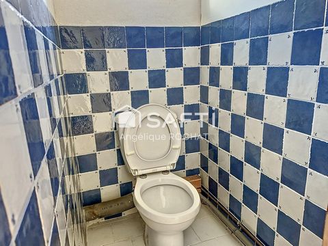 photo no. 13