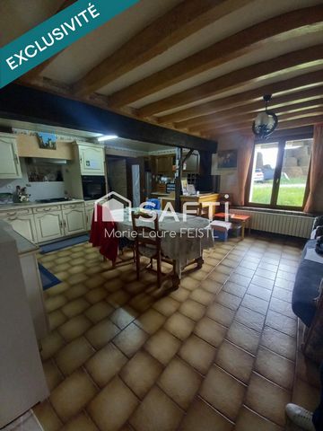 photo no. 10