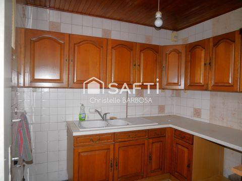photo no. 4