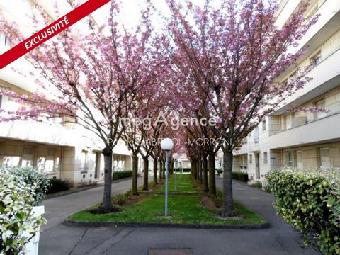photo no. 8