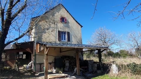 photo no. 3