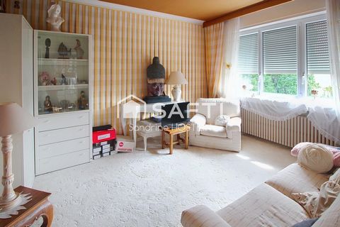 photo no. 15