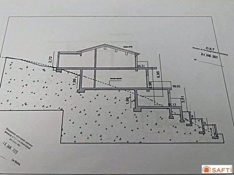 photo no. 9