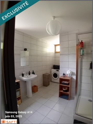 photo no. 12