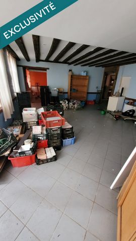 photo no. 6