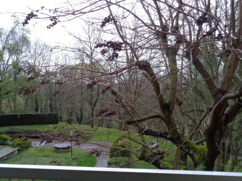photo no. 6