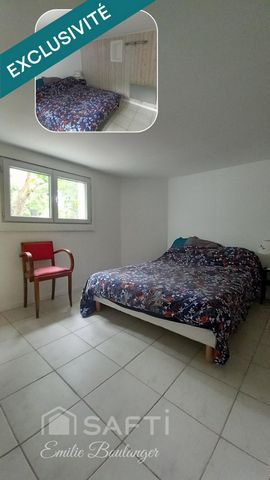 photo no. 6