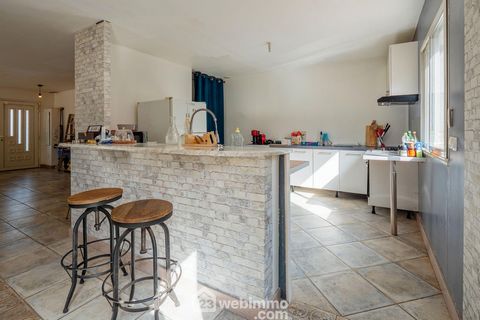 photo no. 12