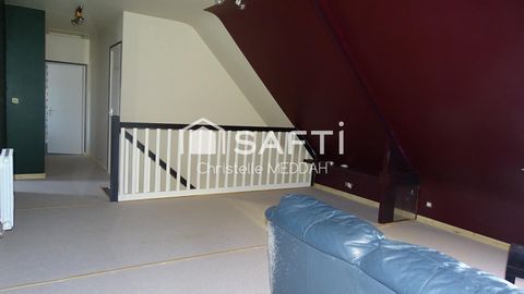 photo no. 9