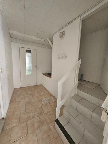 photo no. 4