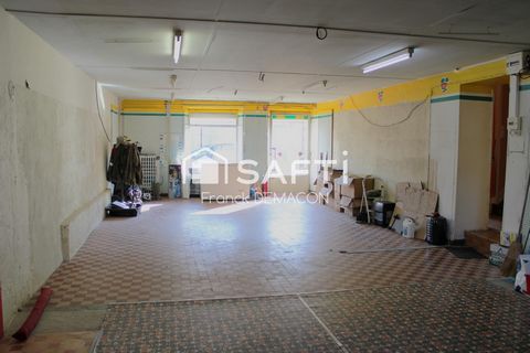 photo no. 8