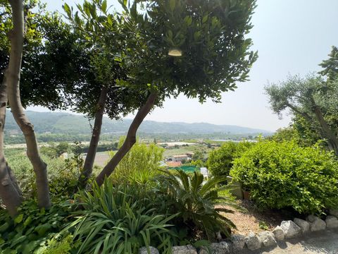 photo no. 15