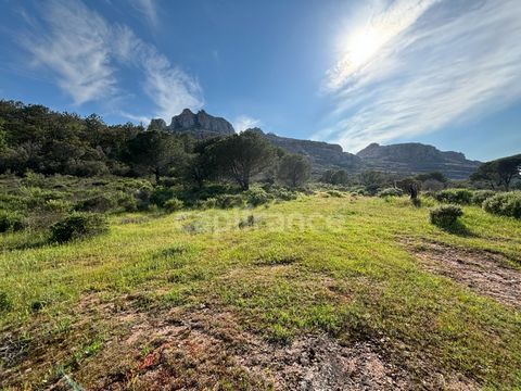 Roquebrune sur Argens, terrain constructible de 5 hectares pouvant accueillir une propriété de 228 m2 !!