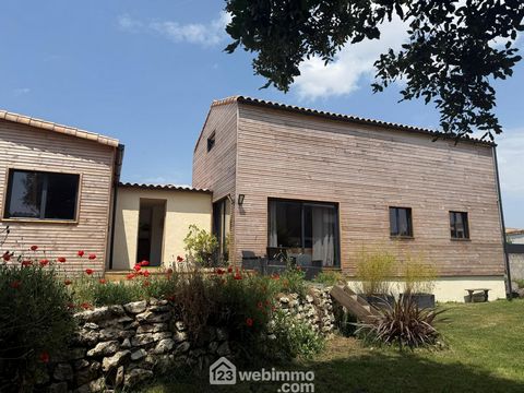 photo no. 13