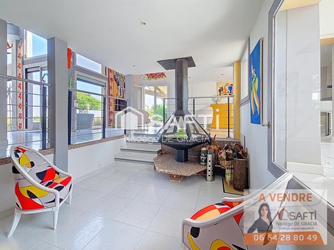 photo no. 11