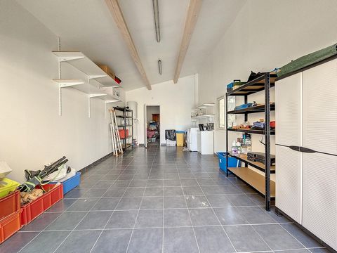 photo no. 10