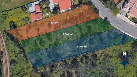 Lote 3 - Localizado na pitoresca Rua do Monte em Oliveira Azeméis, este terreno exclusivo oferece uma oportunidade única para desenvolvimento residencial.  Com uma localização privilegiada, o terreno está situado numa área que combina perfeitamente a...