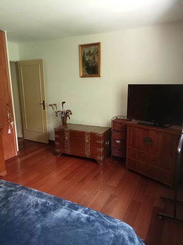 photo no. 8