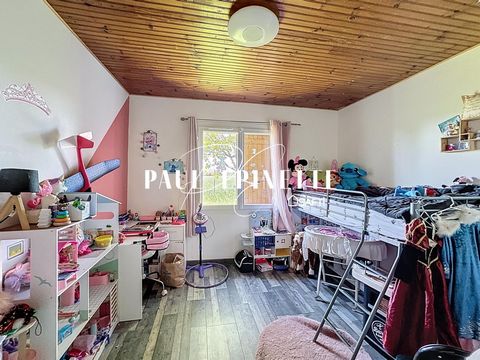photo no. 11