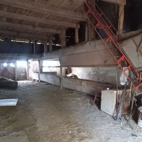 photo no. 4
