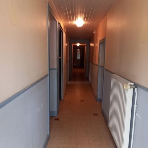 photo no. 6