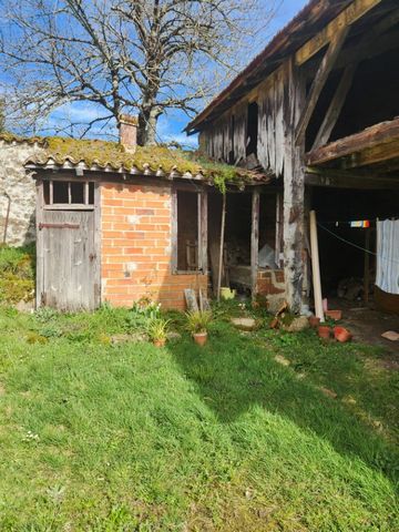 photo no. 14