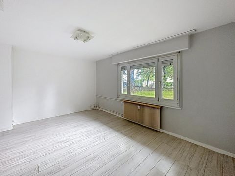 photo no. 16