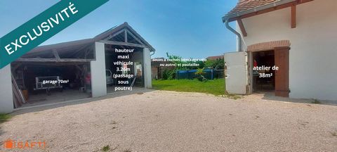 photo no. 11