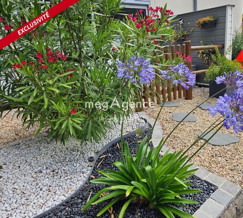 photo no. 14
