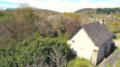 photo no. 7