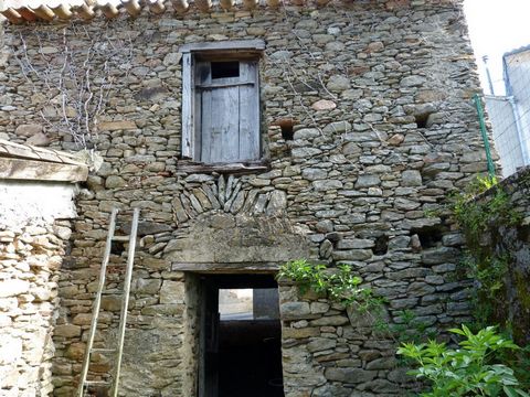 photo no. 21