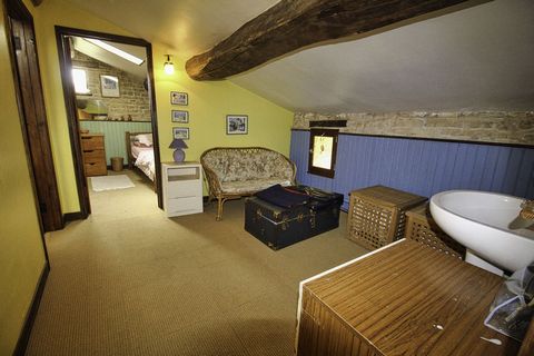 photo no. 6