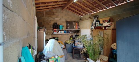 photo no. 14