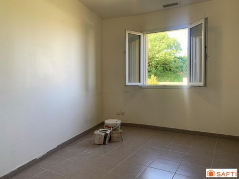 photo no. 12