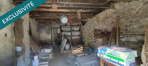 photo no. 12