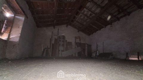 photo no. 2