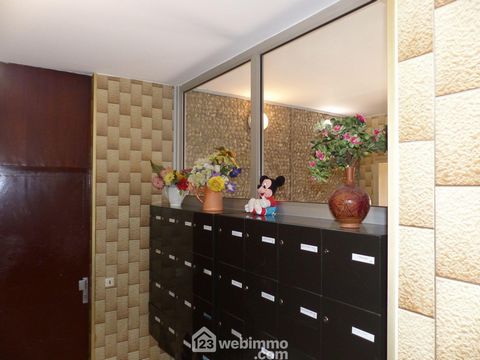 photo no. 17