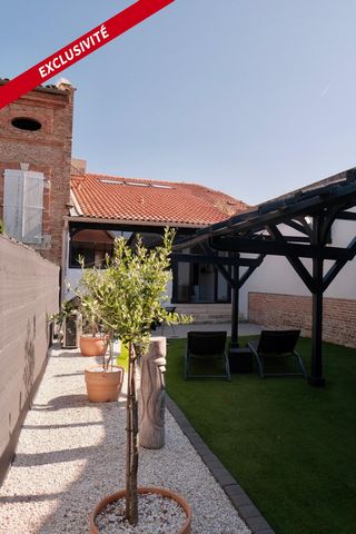 photo no. 8