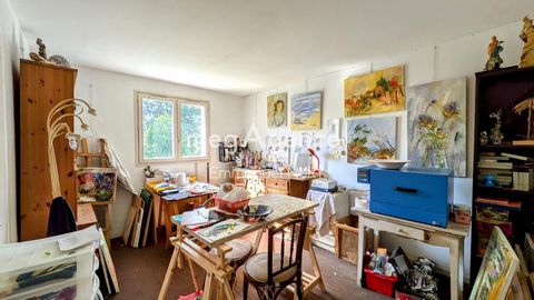photo no. 13