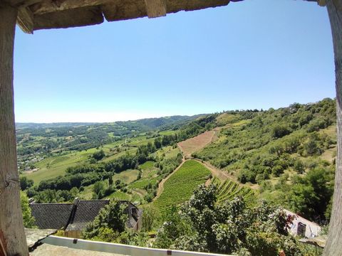photo no. 1