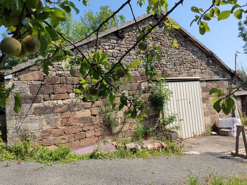 photo no. 8