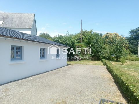 photo no. 10