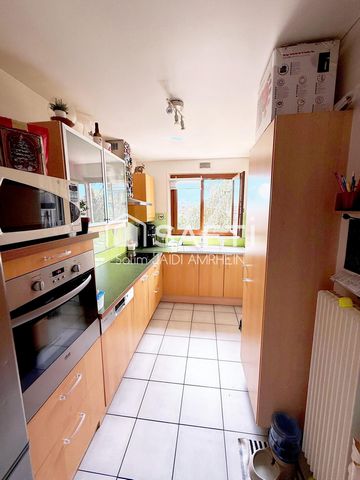 photo no. 6