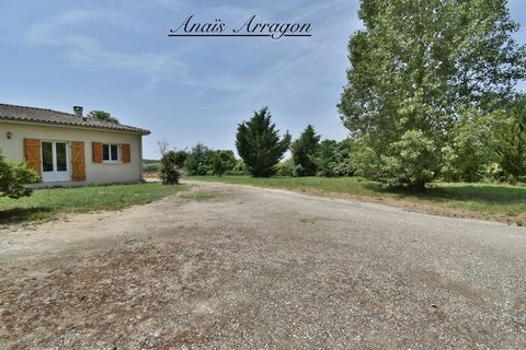 photo no. 1
