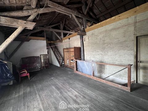 photo no. 14